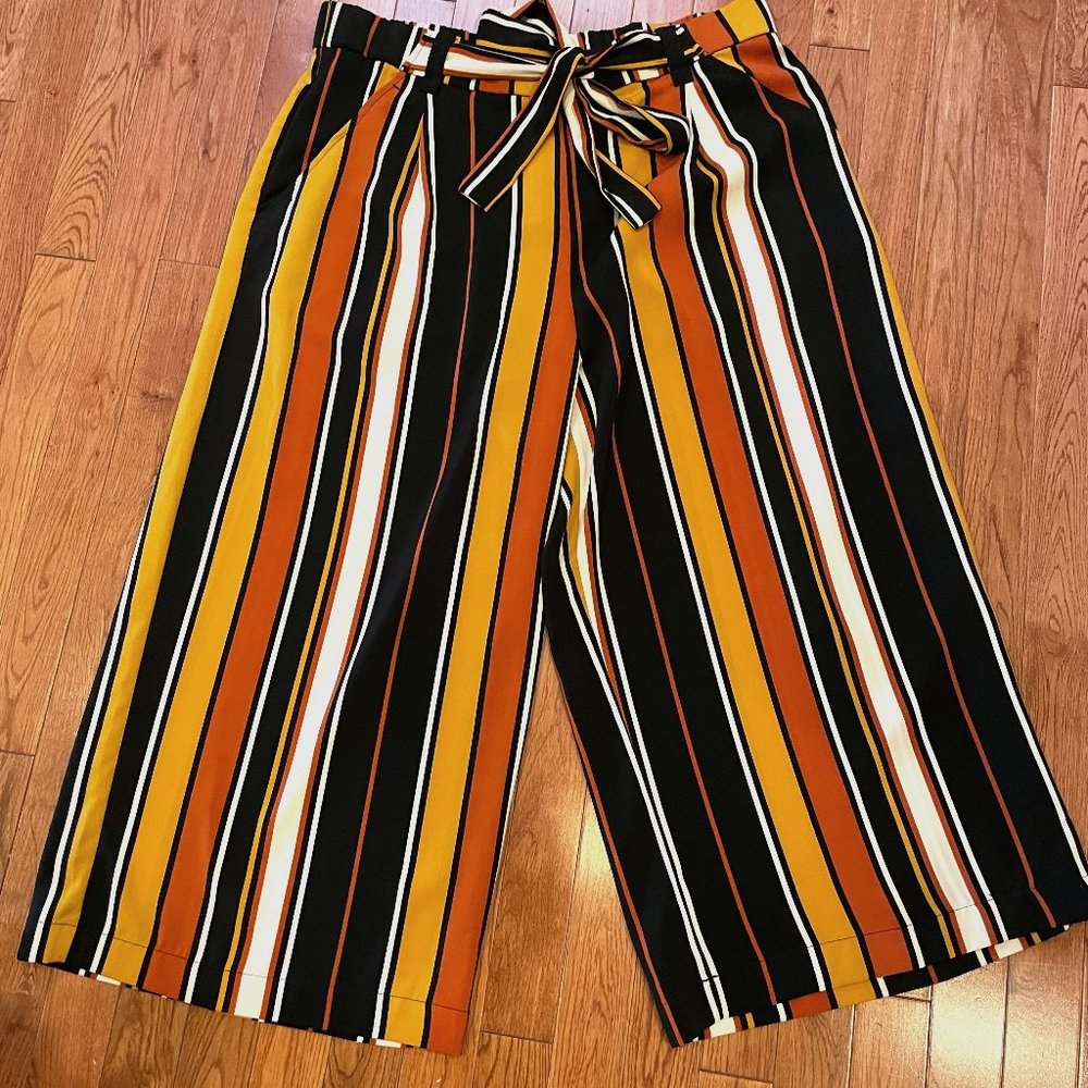Zara NWT Wide Leg Crop Pants XXL